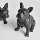 NAPA Home & Garden, Three Dog Night Collection