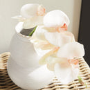 "NAPA Home & Garden, PHALAENOPSIS ORCHID DROP-IN COLLECTION"