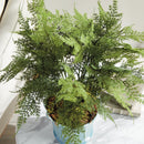 "Plumosa Fern Drop-In by NAPA Home & Garden"