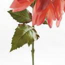 NAPA Home & Garden, DAHLIA STEM 28",N4GP07PKD