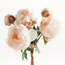 NAPA Home & Garden, Peonies Bundle