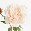 NAPA Home & Garden, PEONY STEM Collection