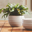 NAPA Home & Garden, CHRYSSA POT,N4HR43