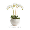 NAPA Home & Garden, AVANI POT Collection