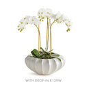 NAPA Home & Garden, BLECKLYN Decorative Bowl Collection