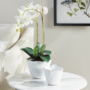NAPA Home & Garden, MARIBELLA CACHEPOTS, SET OF 2,N4NG33