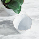 NAPA Home & Garden, MARIBELLA CACHEPOTS, SET OF 2,N4NG33