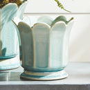 NAPA Home & Garden, Decorative Home Accents Collection