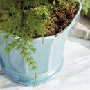 NAPA Home & Garden, Decorative Home Accents Collection