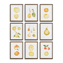 NAPA Home & Garden, ASSORTED FRUITS STUDY, SET OF 9,N4NH11