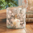 NAPA Home & Garden, Hurricane Collection