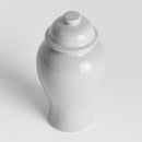 NAPA Home & Garden, KOA LIDDED MINI GINGER JAR SMALL,N4SN25WH