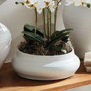 Mirela Decorative Bowl by NAPA Home & Garden