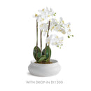 Mirela Decorative Bowl by NAPA Home & Garden