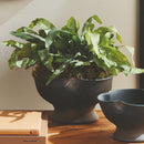 NAPA Home & Garden, KALOA DECORATIVE BOWL LARGE,N4TQ09
