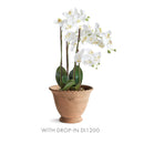 NAPA Home & Garden, Wakefield Handmade Alvena Pot Collection