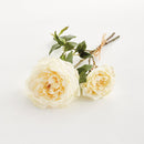 NAPA Home & Garden, English Rose Bundle