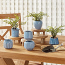 NAPA Home & Garden, DEZIE MINI POTS, SET OF 6,N5CH18BL