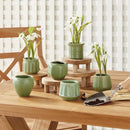 NAPA Home & Garden, DEZIE MINI POTS, COLLECTION