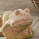 NAPA Home & Garden, WEATHERED GARDEN FROG,N5DJ80