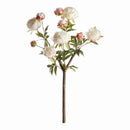 Peony Branch by NAPA Home & Garden