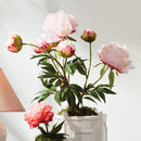 Peony Potted Drop-In