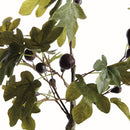 FIG TREE WITH FIGS POTTED DROP-IN 34"