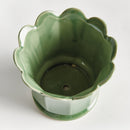 NAPA Home & Garden, Decorative Home Accents Collection