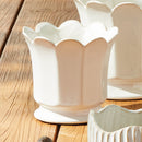 NAPA Home & Garden, Decorative Home Accents Collection