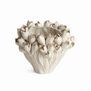 COURTNEY & EVELYN HOME DECOR COLLECTION