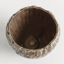 COURTNEY & EVELYN HOME DECOR COLLECTION