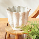 Lillian Pot Collection