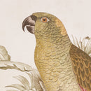 TROPICAL PARROT PRINTS, SET OF 2