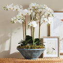 NAPA Home & Garden, MIRELA Decorative Bowl