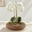 NAPA Home & Garden, BURMA RATTAN SHALLOW DISPLAY BOWLS