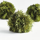 NAPA Home & Garden, CYPRESS ORB Collection