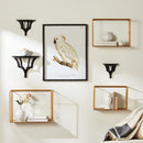 NAPA Home & Garden, DAPHNE MIRRORED WALL SHELVES, SET OF 3,N5TY05