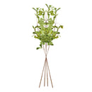 Shady Lady Black Olive Stems 28", Set Of 4