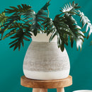 NAPA Home & Garden, GIA VASE SHORT,NBY404