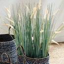 NAPA Home & Garden, FIELD GRASS DROP-IN 35",NCC502