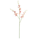 NAPA Home & Garden, ORCHID STEM 38",NCC505