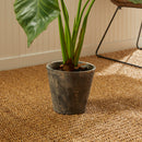 NAPA Home & Garden, ALOCASIA POTTED 42",NCC508