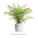 NAPA Home & Garden, ETRUIA & CONSERVATORY COLLECTION JARS AND VASES