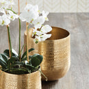 NAPA Home & Garden, EMBERLYNN CACHEPOT Collection