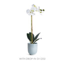 NAPA Home & Garden, MIA Mini Pot Collection