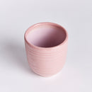 NAPA Home & Garden, MIA Mini Pot Collection