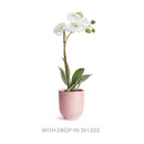 NAPA Home & Garden, MIA Mini Pot Collection