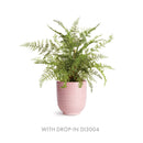 NAPA Home & Garden, MIA Mini Pot Collection