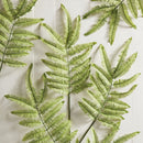 NAPA Home & Garden, TREE FERN STEM 42.5",NGP502