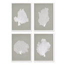 NAPA Home & Garden, CORAL FANS STUDY, SET OF 4,NH245